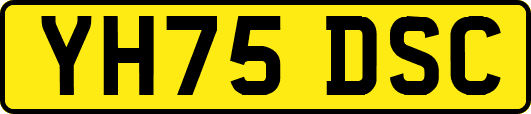 YH75DSC