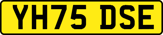 YH75DSE