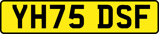 YH75DSF