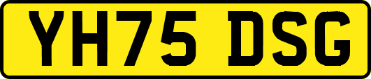 YH75DSG