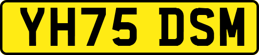 YH75DSM