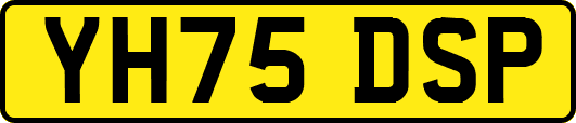 YH75DSP