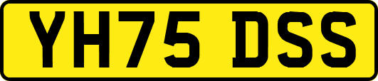 YH75DSS