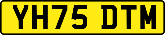 YH75DTM