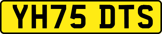 YH75DTS