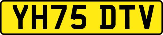 YH75DTV