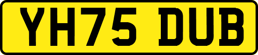 YH75DUB