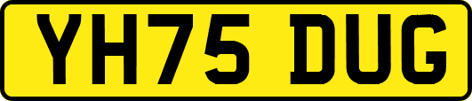 YH75DUG