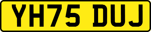 YH75DUJ