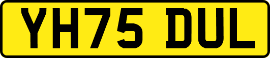 YH75DUL
