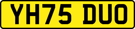 YH75DUO