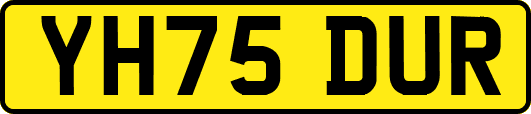 YH75DUR