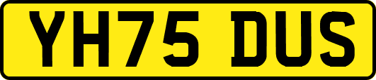 YH75DUS