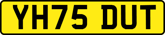 YH75DUT