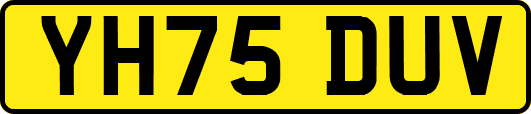 YH75DUV