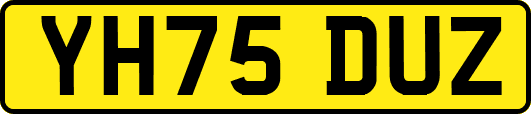 YH75DUZ