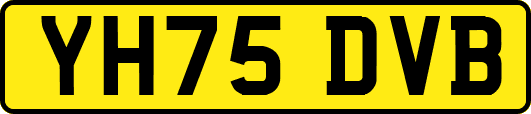 YH75DVB