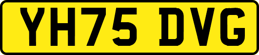 YH75DVG