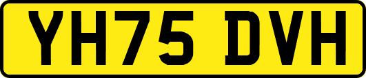 YH75DVH