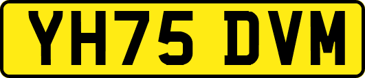 YH75DVM