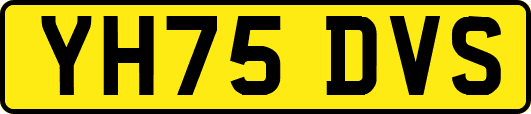 YH75DVS