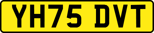 YH75DVT