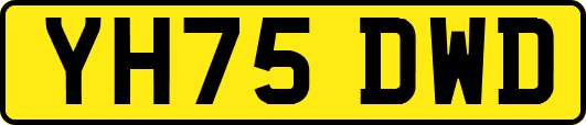 YH75DWD