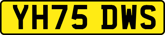 YH75DWS