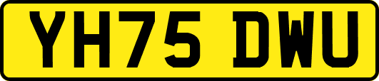 YH75DWU