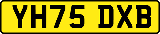 YH75DXB