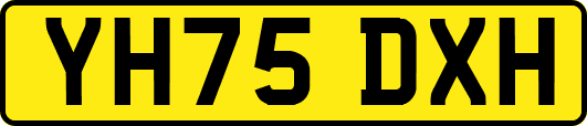 YH75DXH