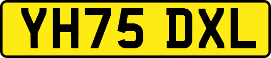 YH75DXL