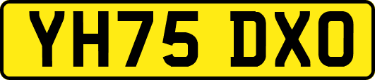 YH75DXO
