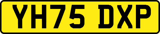 YH75DXP