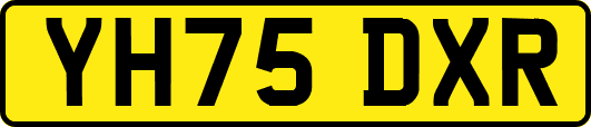 YH75DXR
