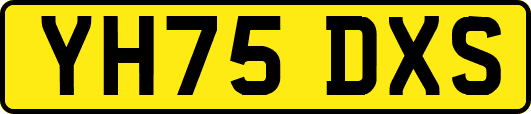 YH75DXS