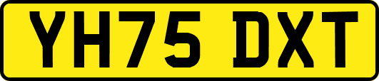 YH75DXT