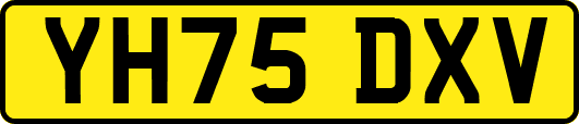 YH75DXV