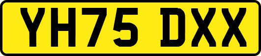 YH75DXX