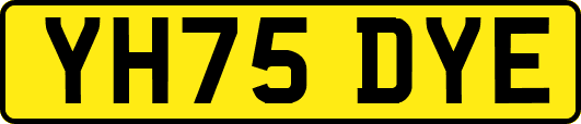 YH75DYE