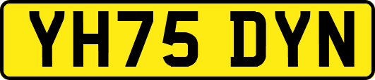 YH75DYN