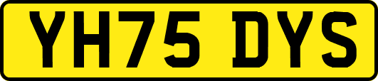 YH75DYS