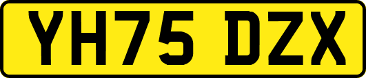 YH75DZX