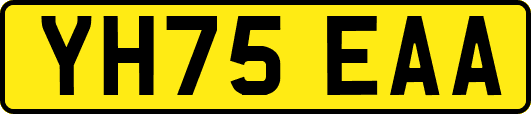 YH75EAA