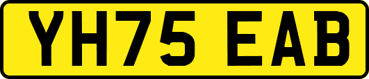YH75EAB