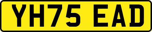 YH75EAD