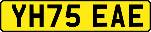 YH75EAE