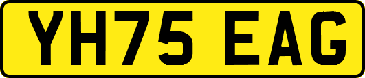 YH75EAG