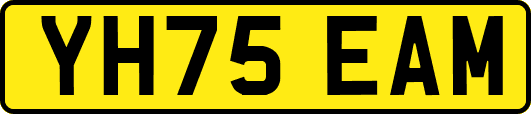YH75EAM