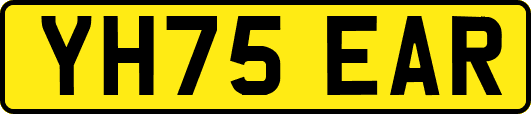 YH75EAR
